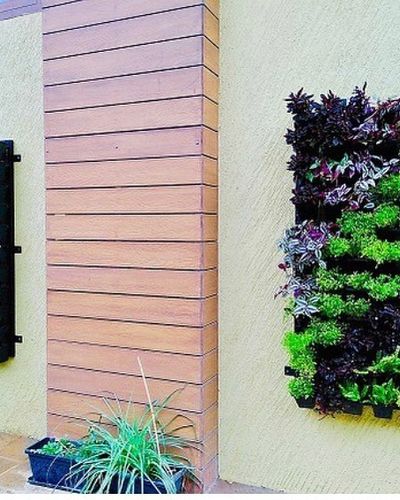 Vertical Gardens