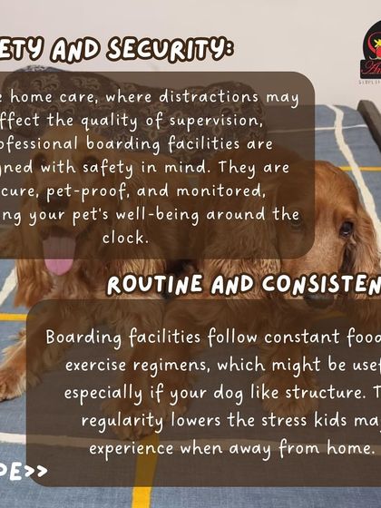 Anvis - Dog Boarding Helpful Tips for Pet Parents photo 12