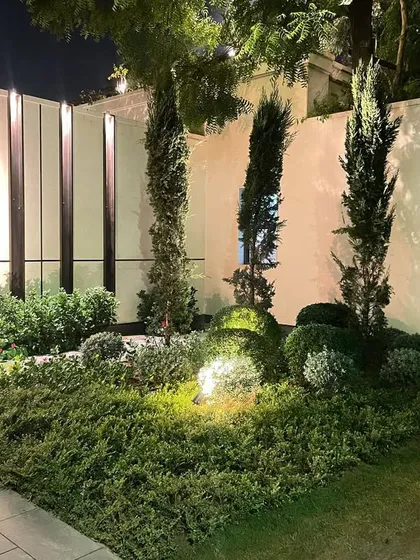A wider view of the illuminated farmhouse entrance, showing how the combination of tall cypress-like trees, sculpted shrubs, and strategic lighting creates a formal and impressive landscape.