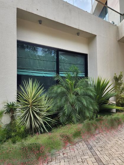 It's a great feeling to go back to a site after a few years and see how happy the plants are. This arid garden we designed for a holiday home near Lonavala has grown beautifully.