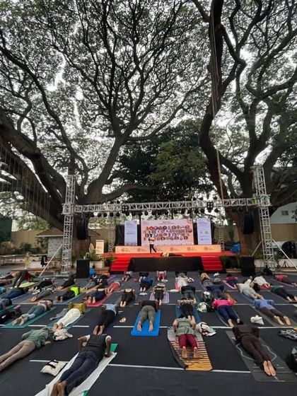A large group practicing together under a magnificent banyan tree in Mysore. There is a powerful collective energy when we move and breathe as one, united in our intention.