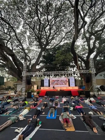 A large group practicing together under a magnificent banyan tree in Mysore. There is a powerful collective energy when we move and breathe as one, united in our intention.