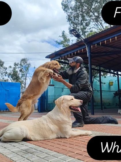 Rana gives the best hugs. Whiskey the Labrador is just waiting for his turn.