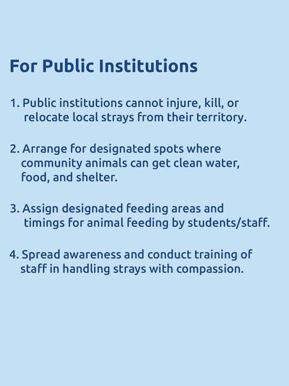 For public institutions in Mumbai: new guidelines prohibit the relocation of local strays and require designated areas for food and water. This is a win for compassion.