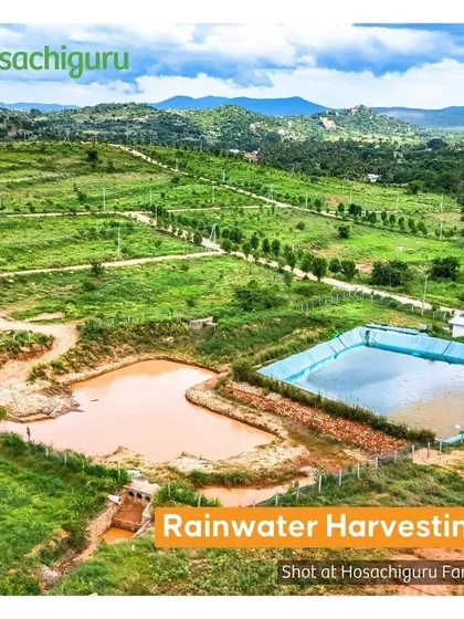 An aerial view of our rainwater harvesting structures. These ponds are strategically placed to capture maximum runoff, ensuring a reliable water supply for the farm.