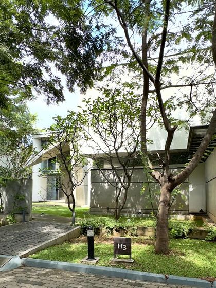 The landscaped approach to the 'House of Stories', showing how the building is carefully sited among existing trees.