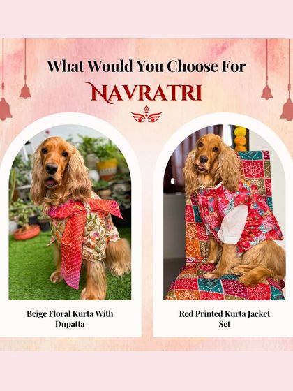 A collaboration with Wrap In Fur, showcasing their beautiful Navratri collection for pets. Which look do you prefer for Posto?
