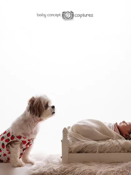 A wider angle of this sweet scene, showing the full setup with the fluffy rug and clean white background. I take care to create a safe and comfortable environment for both newborns and pets.
