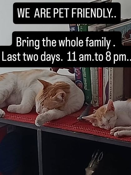 We are a pet-friendly festival. We believe in creating a welcoming space for the entire family, including furry members.