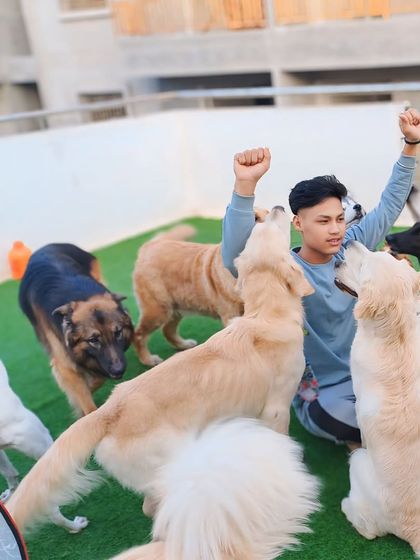 A moment of pure joy and celebration with the pack.