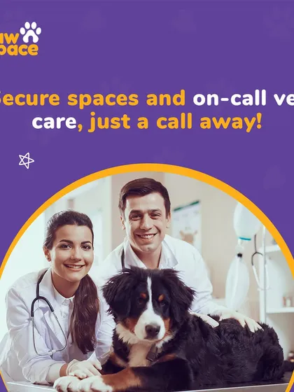 Your pet's safety is our top priority. Our host homes are thoroughly vetted and pet-proofed, and we have on-call veterinary support available for complete peace of mind.