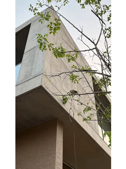 Even the simplest moments can be beautiful. A bird rests on a branch, framed against the clean, concrete lines of the architecture, illustrating the harmony I seek between the built and natural worlds.