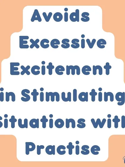 With practice, a socialized dog learns to handle stimulating situations without excessive excitement. They learn to be calm and observant instead of reactive.