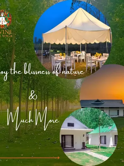 This is the serene setting for your journey inward. Our cozy cottages and outdoor dining tent are nestled in the quiet forests of Hoshiarpur, Punjab, offering a peaceful escape from city life where you can truly connect with nature and yourself.