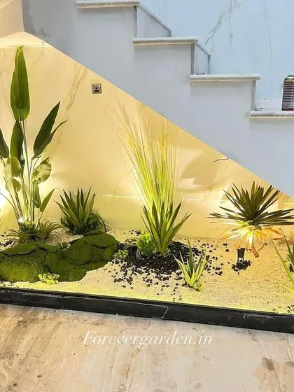 A creative use of the space under a staircase, transformed into a lit indoor garden with various succulents and tropical plants.