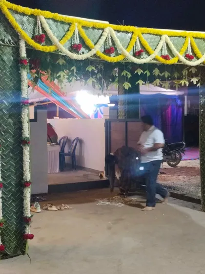 A traditional wedding entrance made from woven green coconut leaves. The structure is decorated with garlands of jasmine and red roses, creating an authentic and auspicious welcome for guests.