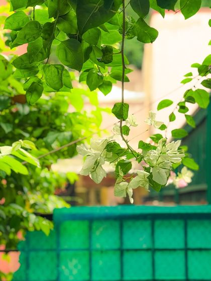 Garima Bhaskar - Photography Services Shot on iPhone photo 18