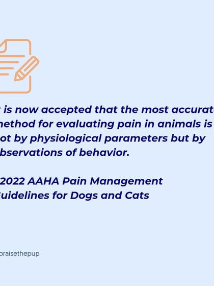 According to the 2022 AAHA Pain Management Guidelines, observing behavior is the most accurate method for evaluating pain in animals. This is a cornerstone of my assessment process.