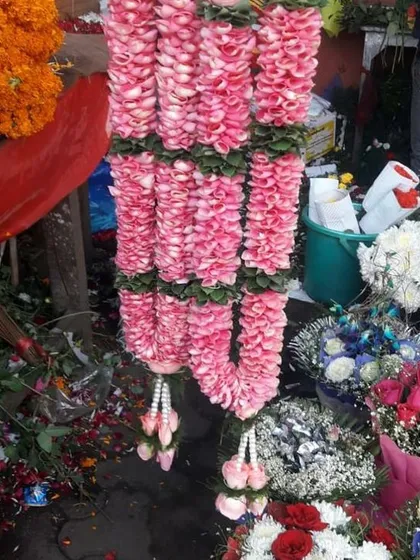 A close-up of a thick jaimala made from fresh pink rose petals. I have been making these for 50 years and guarantee the freshest flowers and best quality.