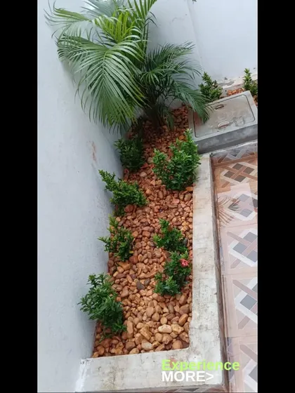 Here is a closer look at the small garden bed project. You can see how the different textures of the palm, small shrubs, and pebbles work together to create a visually interesting and low-maintenance garden nook.