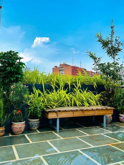 The same Delhi terrace, showing how the arrangement of flowering plants, snake plants, and leafy shrubs creates a dense, layered look. The natural stone flooring stays cool and complements the earthy tones of the planters.