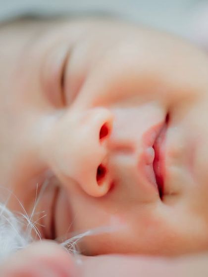 Posed Newborn Artistry photo 4