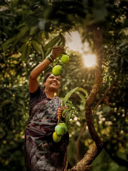 For me, food videography is about capturing emotion. This shot from a brand project shows the pure joy of a farmer harvesting mangoes, telling a story that goes far beyond just the fruit.