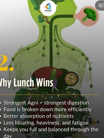 Livstylrs - Personalized Nutrition & Diet Planning Ayurvedic Wisdom for Modern Digestion photo 3