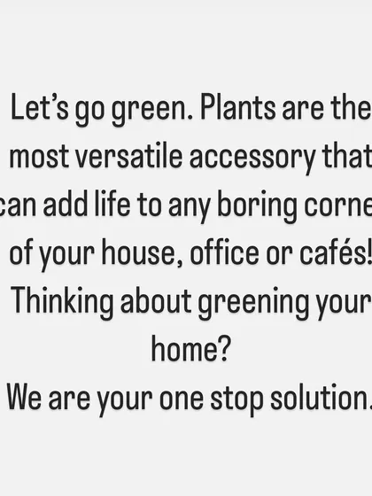 We truly believe plants are the most versatile accessory for any home, office, or cafe. If you're thinking about adding more green to your life, we are your one-stop solution for design, planning, and execution.