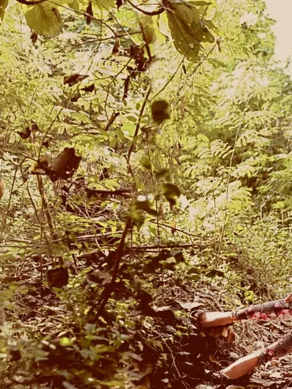 Fashion meets the wild with Lisa Haydon. This wide shot for Verve India showcases the scale of the environment and the beauty of the couture within it.