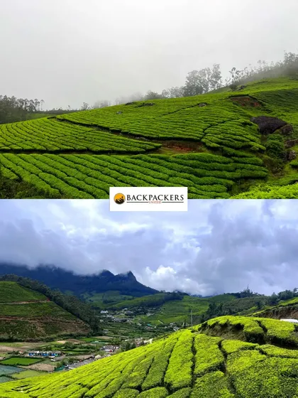 The contrasting beauty of Munnar's tea gardens under misty and clear skies.