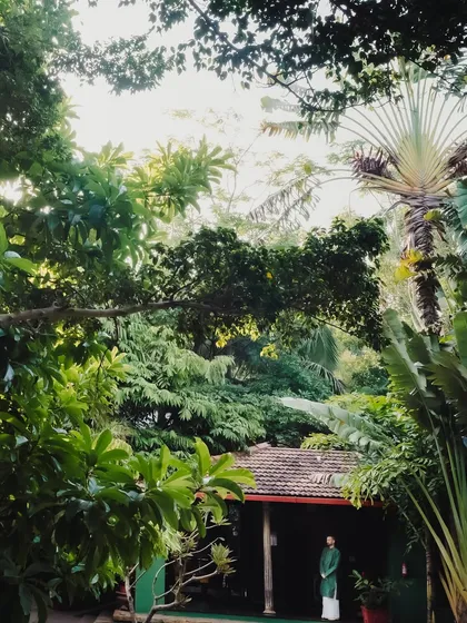 A groom stands amidst the lush greenery of the property, a candid shot that captures the venue's natural beauty.