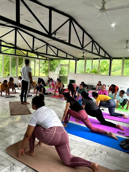 Students in Ashwa Sanchalanasana (Equestrian Pose) during our Rishikesh retreat. The spacious hall allowed for a powerful and unified group practice.