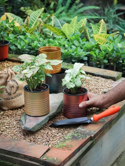 Setting up a beautiful plant arrangement is easy with these options. Here, my metallic self-watering planters in gold, black, and copper tones are ready to be filled, with a small trowel nearby.