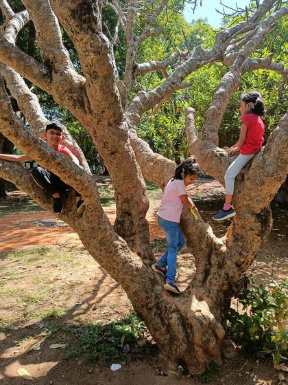 Nivriti Montessori - Day Care Services Learning Beyond the Classroom photo 38