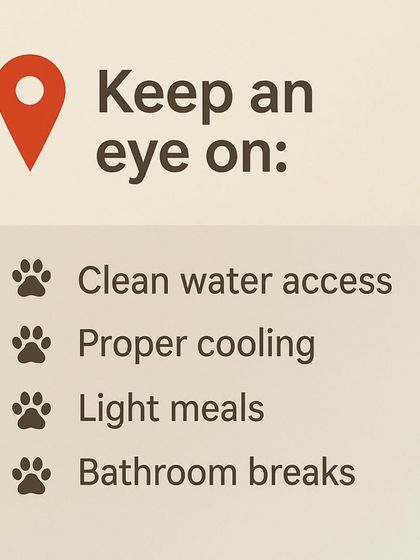 During heatwaves, it's important to keep an eye on your dog. Ensure they have access to clean water, proper cooling, light meals, and frequent bathroom breaks to stay comfortable and healthy.
