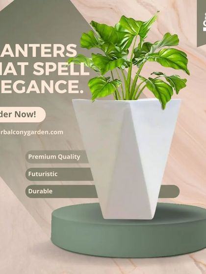 Our FRP planters spell elegance. This futuristic, diamond-cut white planter is premium quality, durable, and designed to make a statement in any commercial space.