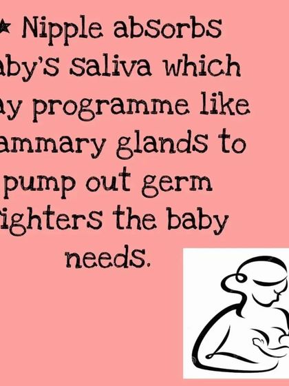 The interaction between a mother and baby during breastfeeding is remarkable. The nipple can absorb the baby's saliva, signaling the mammary glands to produce specific antibodies, or "germ fighters," tailored to the baby's needs.