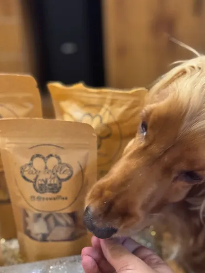 Posto enjoying a tasty, natural treat. We love finding brands that care about pet health.