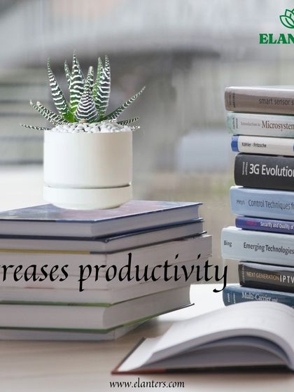 Gifting Green: Plants for Every Occasion photo 7