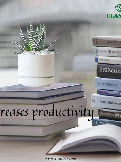 Reason 2: Plants increase productivity. A plant on a desk has been shown to improve focus and creativity, making it a great gift for colleagues.