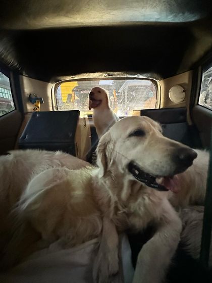 Deepthi - Dog Travel & Adventure Coaching On The Road: Mastering Indian Travel photo 3