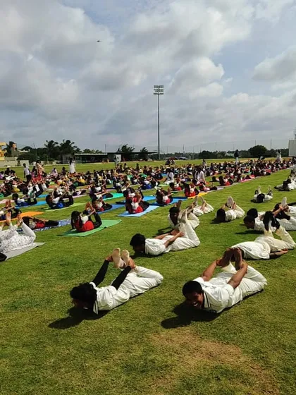 Players engaged in 'Dhanurasana' (Bow Pose), an advanced yoga posture that builds strength and focus.