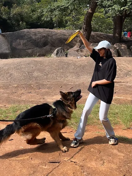 Look at that drive. Working with Hustler the GSD was a blast. Using a dog's natural play drive is one of the most effective ways to train and build a strong, positive relationship.