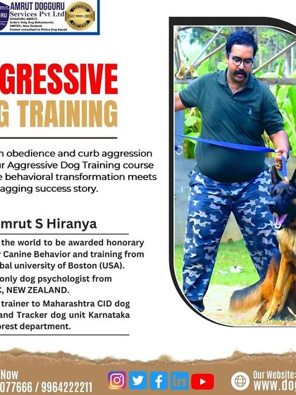 Dog Guru - Dog Behavior & Owner Consultation Training & Socialization Gallery photo 3