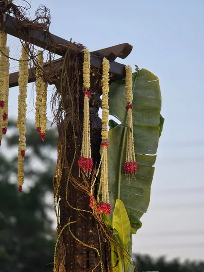 A detail of a South Indian wedding mandap, with banana leaf pillars and hanging garlands of tuberose and red roses.