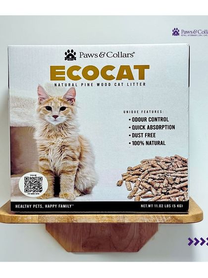 PawsnCollars - Pet Supplies For Our Feline Friends photo 27