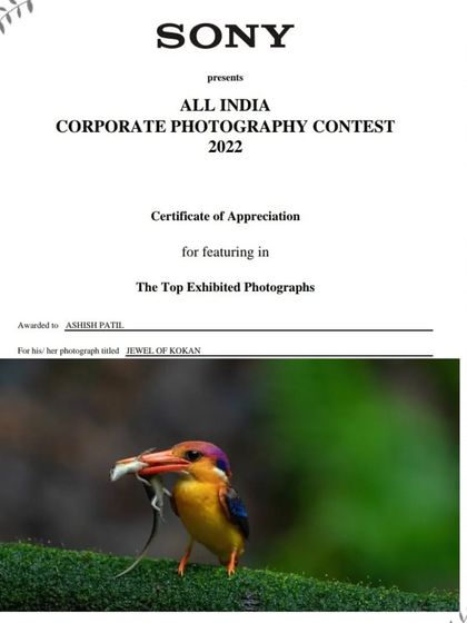 'Jewel of Konkan', my shot of the Oriental Dwarf Kingfisher with its kill, was the third photograph to be selected for the exhibition.