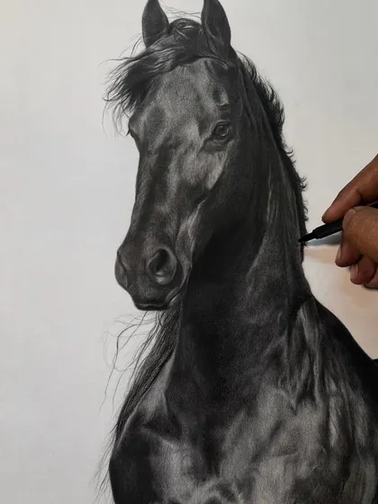 A work in progress, which I call 'Kalaghoda'. This image shows the careful layering of charcoal to create the deep, rich black coat of the horse, slowly building the form and capturing its noble profile.