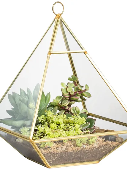 This hanging pyramid glass terrarium is a modern and stylish way to create a miniature succulent garden. The geometric gold frame adds a touch of elegance, making it a beautiful statement piece for any home or a sophisticated corporate gift.